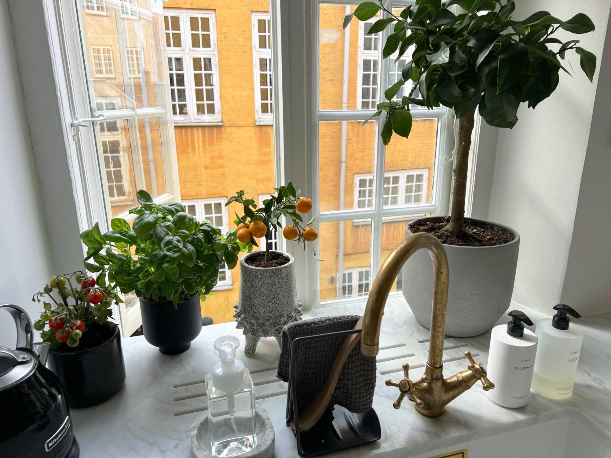 Luxury 'Kings Garden View' 260M2 Prime Located Flat Apartment Copenhagen Exterior photo